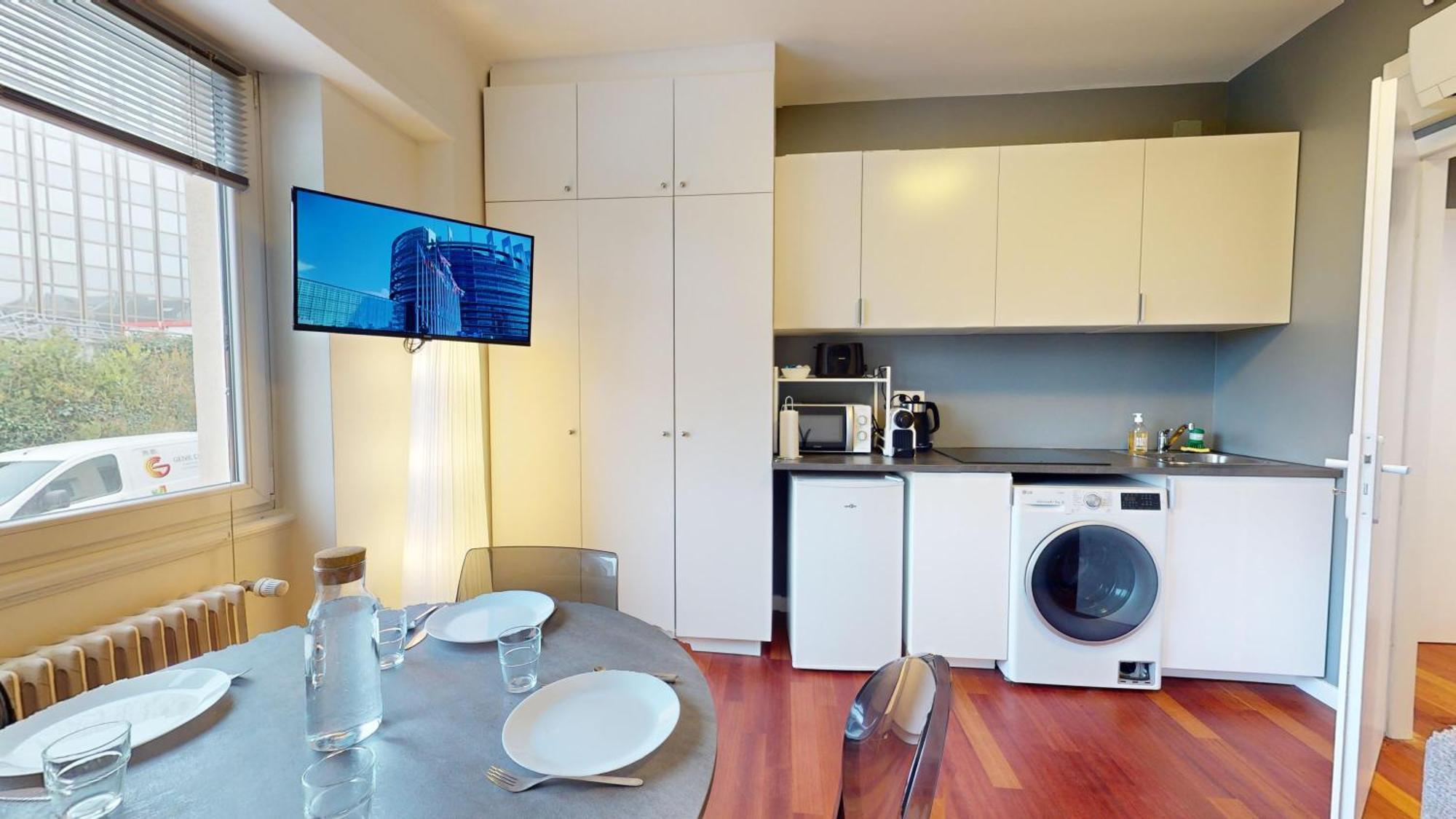 Les Appartements Du General Uhrich - Proche Parlement Страсбург Екстериор снимка